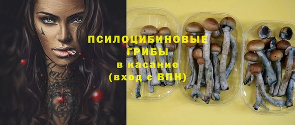 spice Алексеевка