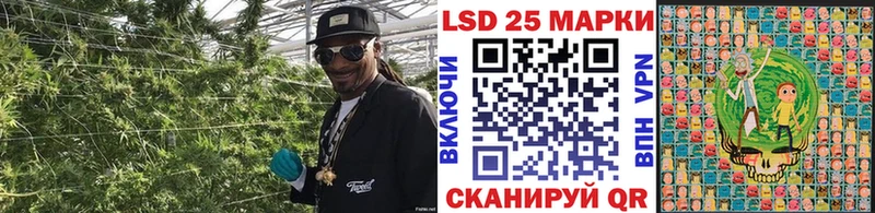 Марки NBOMe 1,5мг где продают omg tor Томск